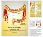 Digestive Colon Pathologies