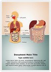 Digestive System Editable Template