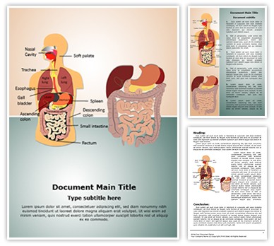 Digestive System Editable Word Template