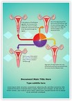 Gynecology Menstrual Cycle Editable Template