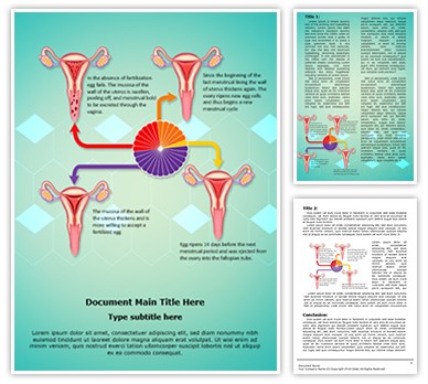 Gynecology Menstrual Cycle Editable Word Template