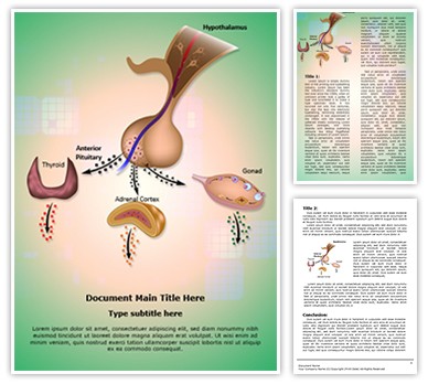 Hypothalamic Pituitary Axes Editable Word Template