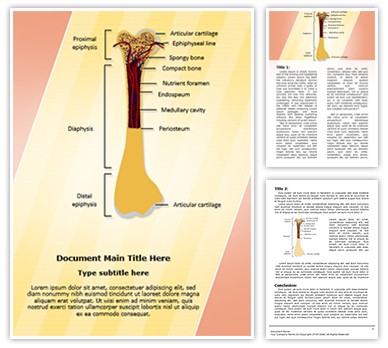 Bone Structure Editable Word Template