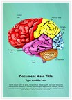 Cerebellum Brain Parts Editable Template