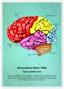 Cerebellum Brain Parts