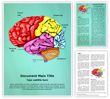Cerebellum Brain Parts Editable Word Template