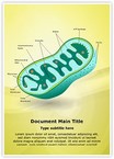 Eukaryotic Mitochondrion Organelle Editable Template