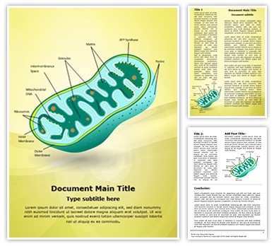 Eukaryotic Mitochondrion Organelle Editable Word Template