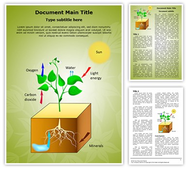 Plant Schematic Photosynthesis Editable Word Template