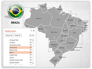 Brazil Map With Selection List Editable Template