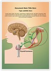 Negative Thyroid Response Editable Template