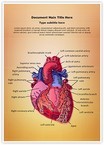 Cardiac Blood Vessels Editable Template