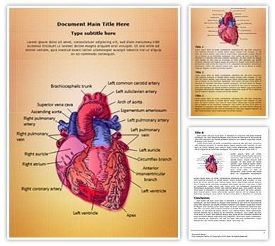 Cardiac Blood Vessels Editable Word Template