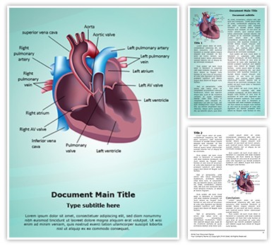Cardiovascular Anatomy Ventricle Editable Word Template