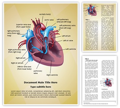 Cardiovascular Blood Pathway Editable Word Template