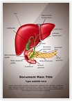 Gastrointestinal Organ System Editable Template