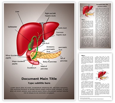 Gastrointestinal Organ System Editable Word Template