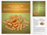 Larva Editable PowerPoint Template