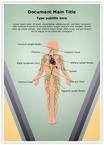 Lymphatic System