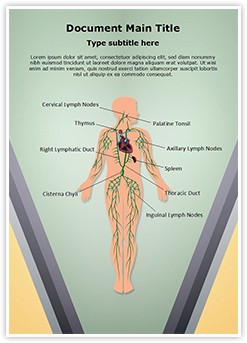 Lymphatic System