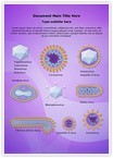 Morphology Viruses