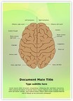 System Nervous Lateralization Editable Template