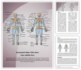 Human Bony System Editable PowerPoint Template