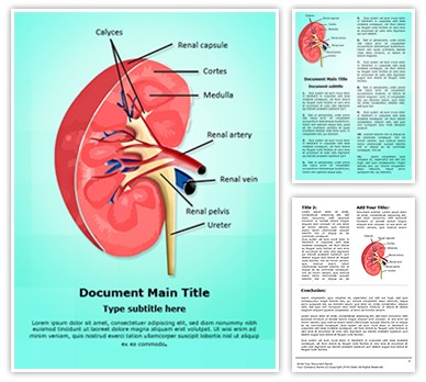 Nephrology kidney Editable Word Template