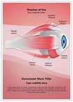 Ophthalmology Eye Muscles Editable Template