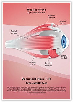 Ophthalmology Eye Muscles