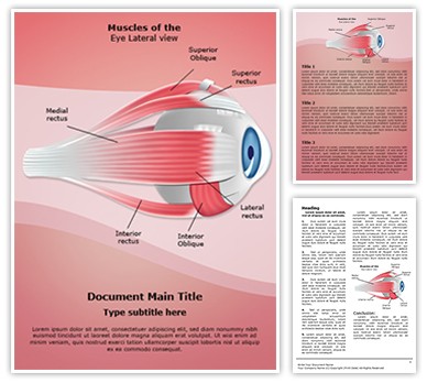 Ophthalmology Eye Muscles Editable Word Template