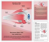 Ophthalmology Eye Muscles Template