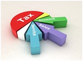 Tax Revenue Pie Chart Editable Template