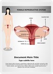 Female Reproductive System Editable Template