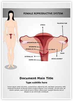 Female Reproductive System