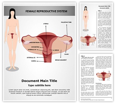 Female Reproductive System Editable Word Template