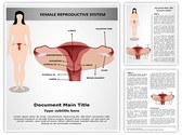 Female Reproductive System Editable PowerPoint Template