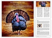 Turkey Editable PowerPoint Template