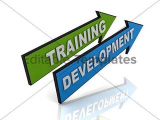 Training and Development