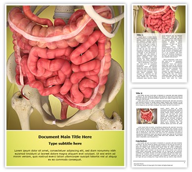 Intestinal Internal Organ Editable Word Template