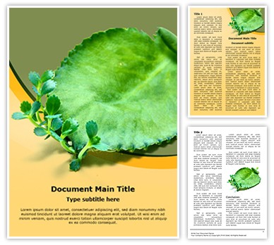 Asexual Reproduction Editable Word Template