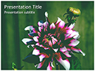 Dahlia Editable PowerPoint Template