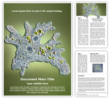 Amoeba Editable Word Template