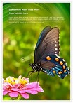 Butterfly Nectar Editable Template