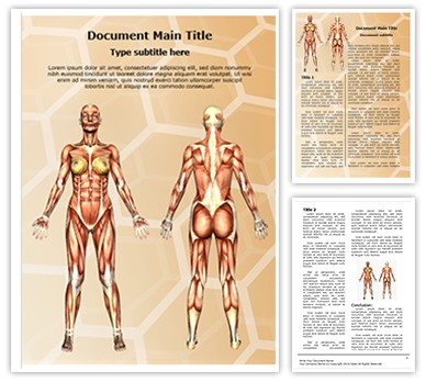 Women Muscular Anatomy Editable Word Template