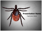 Tick Editable PowerPoint Template