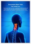 Cervical Spine Anatomy