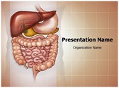 Abdominal Compartment Syndrome Editable PowerPoint Template