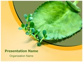 Asexual Reproduction Editable PowerPoint Template