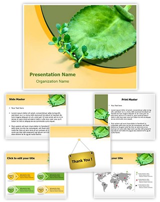 Asexual Reproduction Editable PowerPoint Template